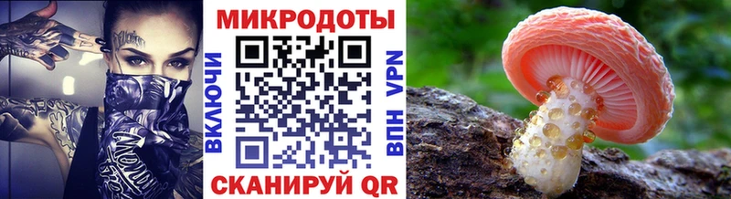 как найти   Дальнегорск  kraken маркетплейс  Галлюциногенные грибы MAGIC MUSHROOMS 